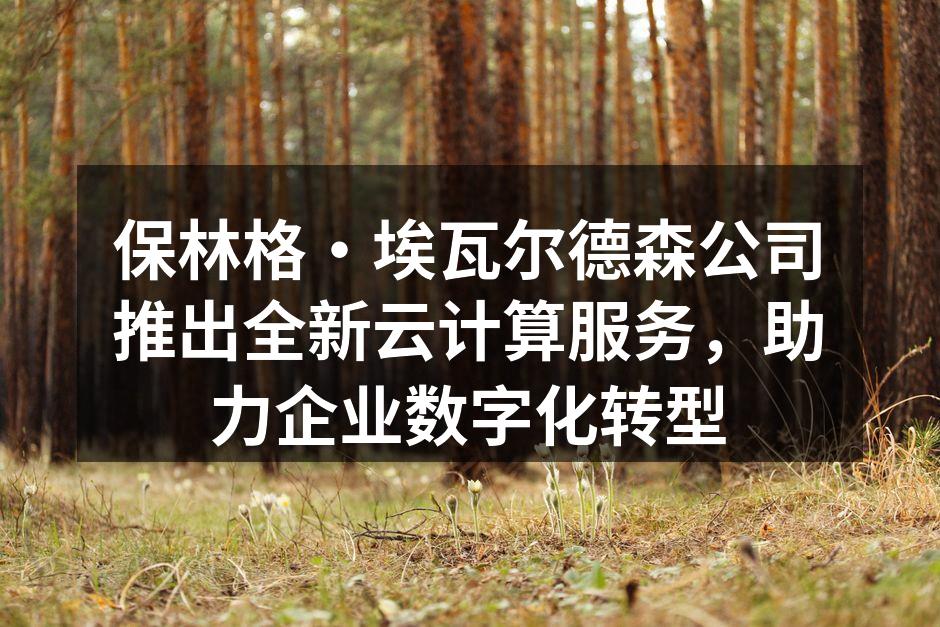 保林格·埃瓦尔德森公司推出全新云计算服务,助力企业数字化转型